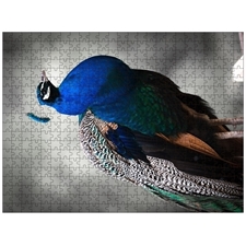 Traditional Jigsaw Puzzles