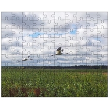 Jigsaw Puzzles 10