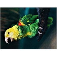 Traditional Jigsaw Puzzles