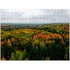 Traditional Jigsaw Puzzles