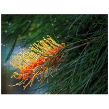 Traditional Jigsaw Puzzles