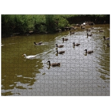 Traditional Jigsaw Puzzles