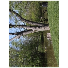 Traditional Jigsaw Puzzles