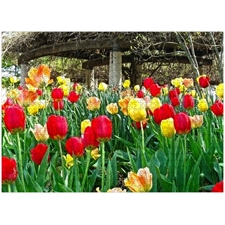Traditional Jigsaw Puzzles