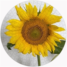 Round Puzzles