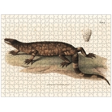 Traditional Jigsaw Puzzles