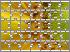Traditional Jigsaw Puzzles