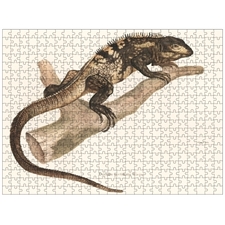 Traditional Jigsaw Puzzles