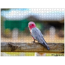 Traditional Jigsaw Puzzles