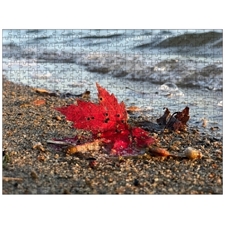 Traditional Jigsaw Puzzles