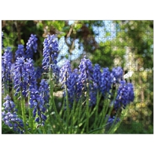 Traditional Jigsaw Puzzles