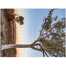 Traditional Jigsaw Puzzles