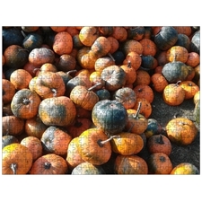 Traditional Jigsaw Puzzles