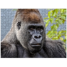 Traditional Jigsaw Puzzles