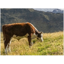 Traditional Jigsaw Puzzles