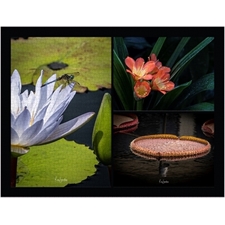 Traditional Jigsaw Puzzles