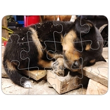 Puzzle Plastic