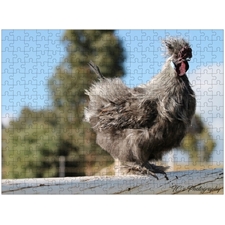 Traditional Jigsaw Puzzles
