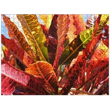 Traditional Jigsaw Puzzles