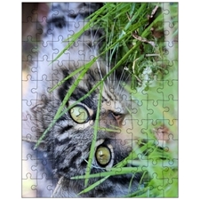 Jigsaw Puzzles 10