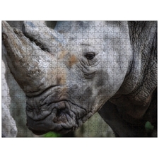 Traditional Jigsaw Puzzles