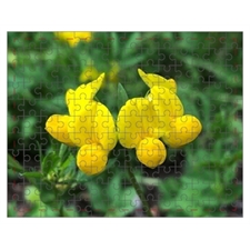 Mini Puzzle