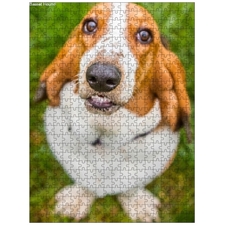 Traditional Jigsaw Puzzles