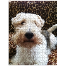 Traditional Jigsaw Puzzles