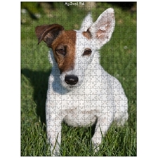 Traditional Jigsaw Puzzles