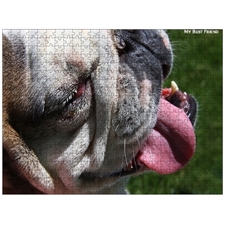 Traditional Jigsaw Puzzles