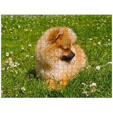 Traditional Jigsaw Puzzles