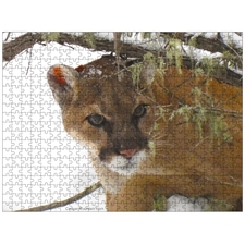 Traditional Jigsaw Puzzles
