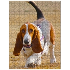 Traditional Jigsaw Puzzles