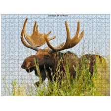 Traditional Jigsaw Puzzles