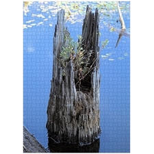 Traditional Jigsaw Puzzles