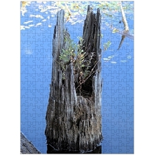 Traditional Jigsaw Puzzles