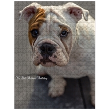 Traditional Jigsaw Puzzles