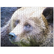 Traditional Jigsaw Puzzles