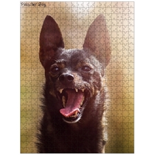 Traditional Jigsaw Puzzles