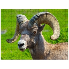 Traditional Jigsaw Puzzles