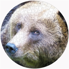 Round Puzzles