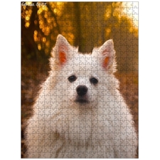 Traditional Jigsaw Puzzles