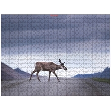 Traditional Jigsaw Puzzles