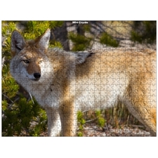 Traditional Jigsaw Puzzles
