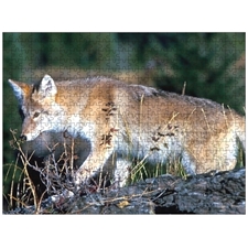 Traditional Jigsaw Puzzles
