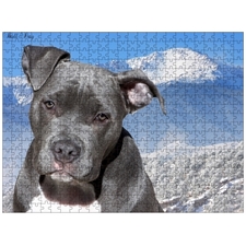 Traditional Jigsaw Puzzles