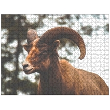 Traditional Jigsaw Puzzles