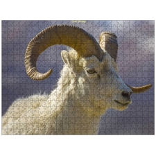 Traditional Jigsaw Puzzles