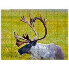 Traditional Jigsaw Puzzles