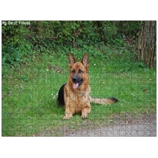 Traditional Jigsaw Puzzles